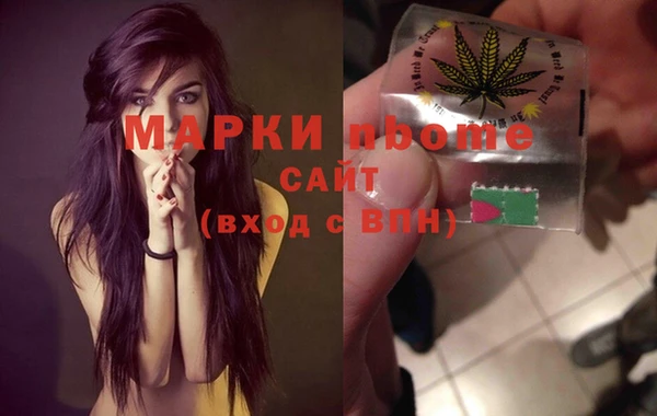прущие грибы Алзамай