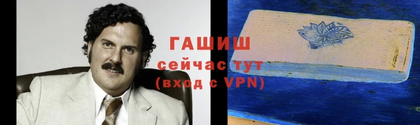 прущие грибы Алзамай
