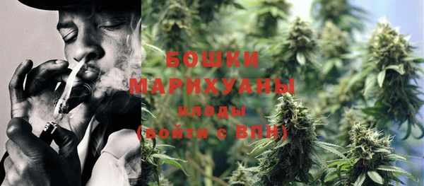 прущие грибы Алзамай