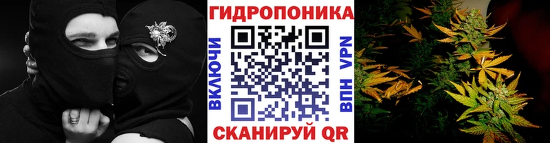 МАРИХУАНА индика блэк спрут маркетплейс Макушино